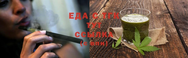 гидра Богородицк