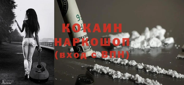 гидра Богородицк