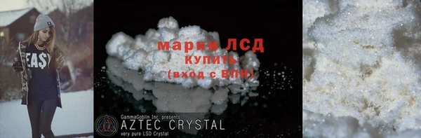 гидра Богородицк