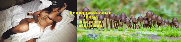 гидра Богородицк