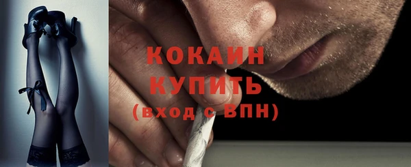 гидра Богородицк