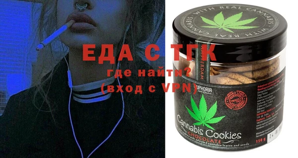 гидра Богородицк