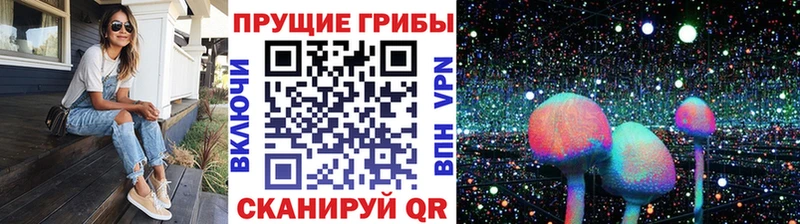Псилоцибиновые грибы ЛСД  где можно купить   hydra маркетплейс  Новокузнецк 